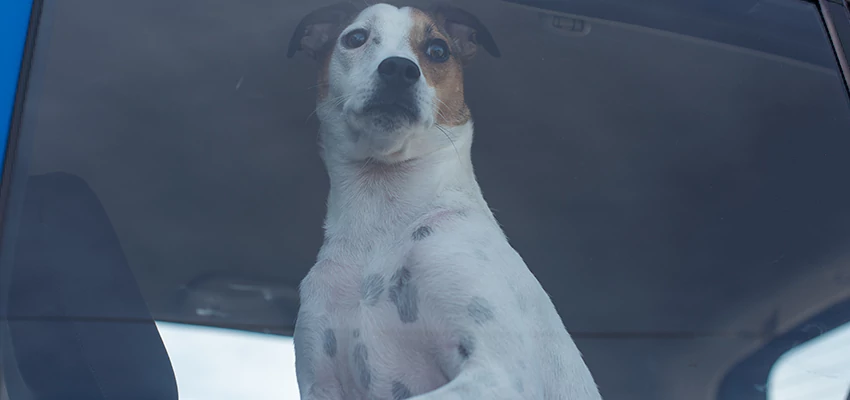 Car Lockout Solutions in Kentfield, California